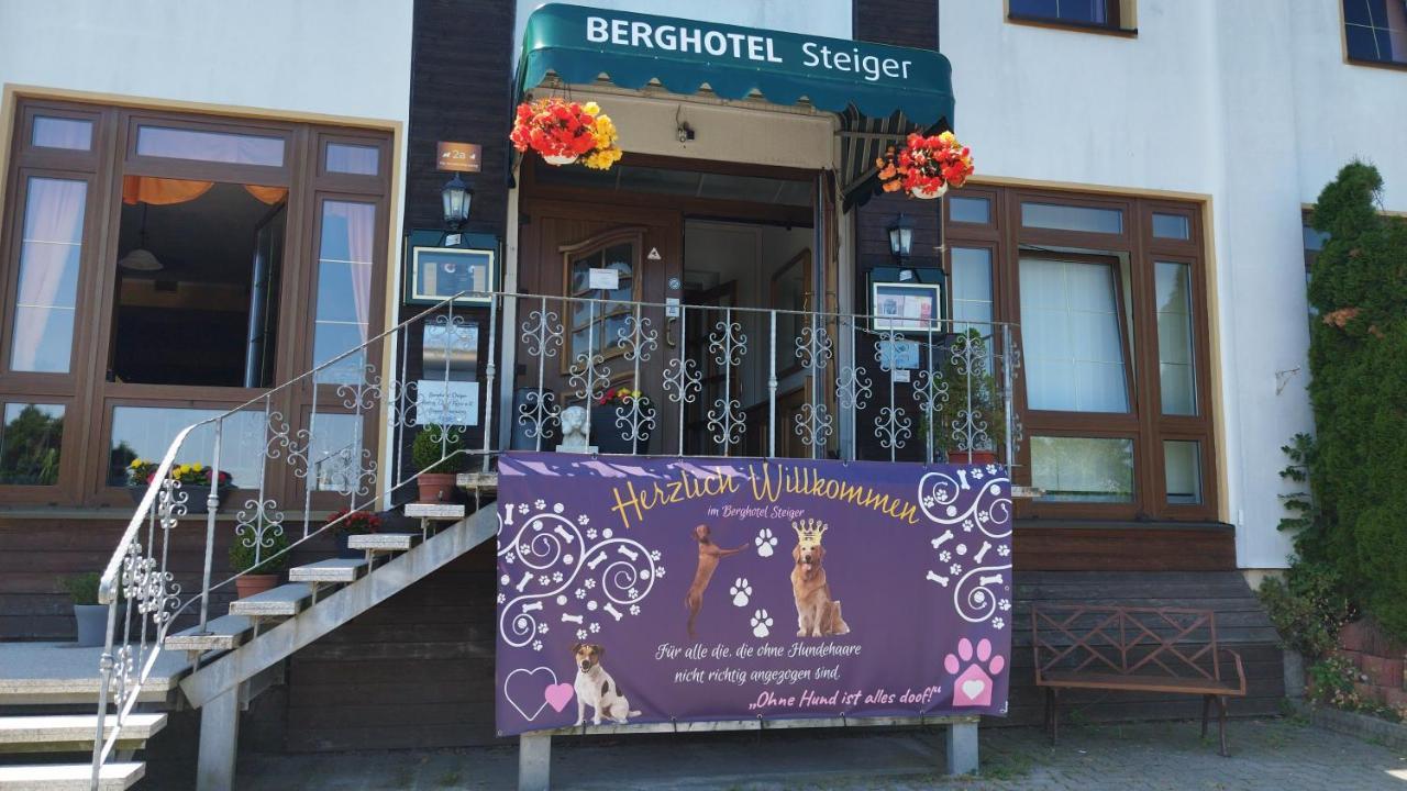 Berghotel Steiger - Erzgebirge 施内贝格 外观 照片